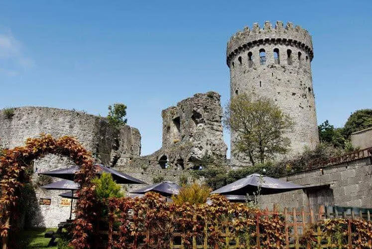 Nenagh Castle, Nenagh, Ireland, Ireland